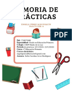 Memoria Practicum Ii