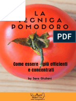 Guida Tecnica Pomodoro