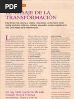 TÉCNICA METAMÓRFICA