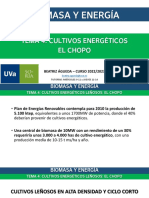 2223_08_biomasa_cultivosenergeticos_chopo