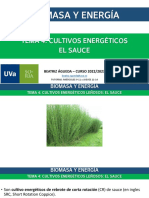 2223 09 Biomasa Cultivosenergeticos Sauce