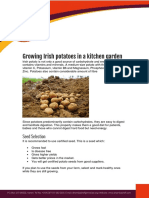 Shamba Chef Growin Irish Potatoes Guide