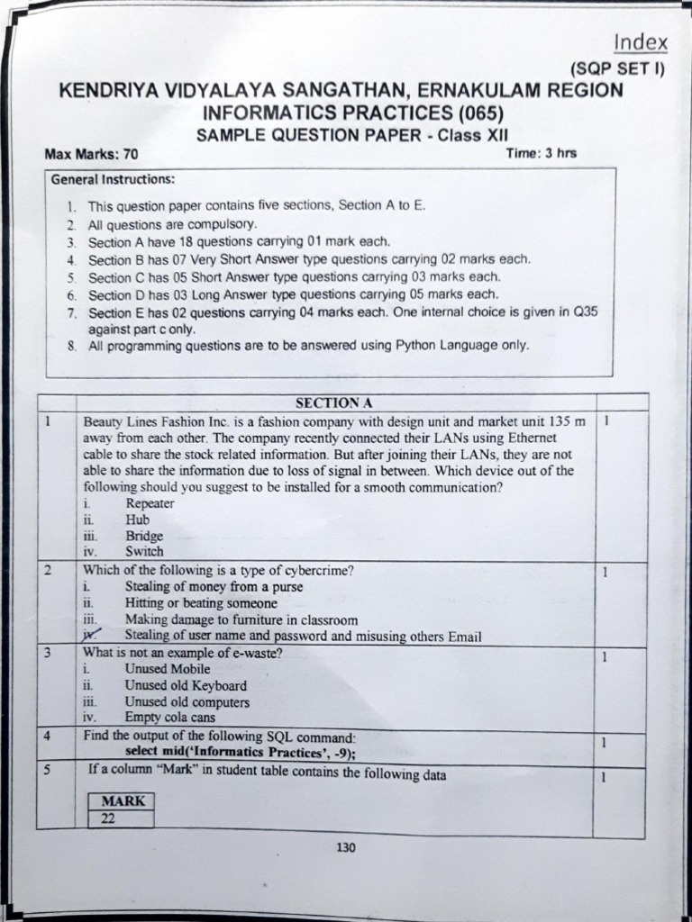 IP Sample Paper 1 PDF
