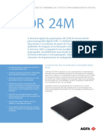 DR 24M (Portuguese)