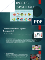 Tipos de Discapacidad