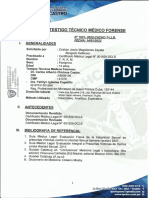 Dictamen de Testigo Tecnico Medico Forense 1931 - Abog. Cristian