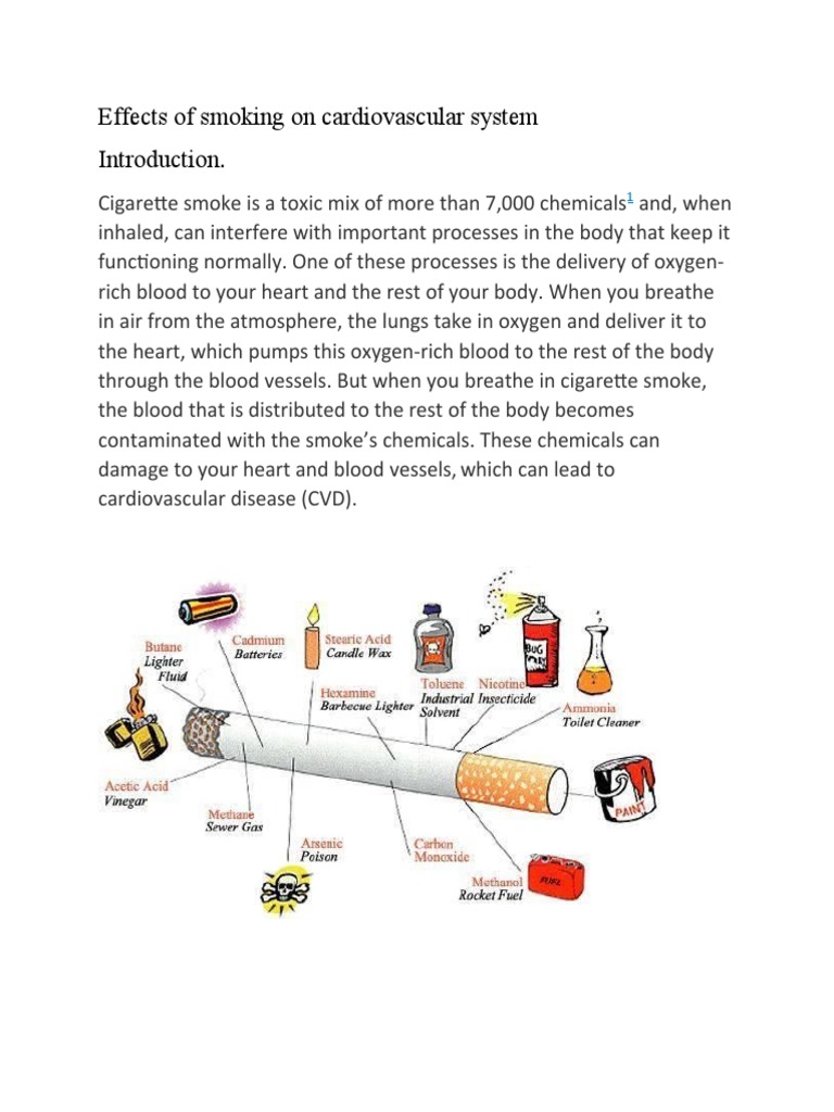 introduction about cigarette smoking Dangers and Effects of | PDF | Smoking Understanding Smoking and Its Effects