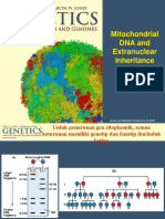 Extrachromosomal Inheritance-1