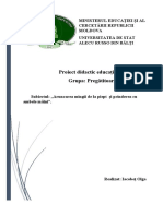 Proiect Didactica Ed - Fizice