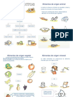 Clases-de-alimentos-para-Primer-Grado-de-Primaria Modificado