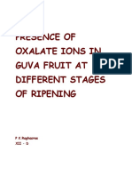 Presence of Oxalate Ions in Guva Fruit at Different Stages of Ripening