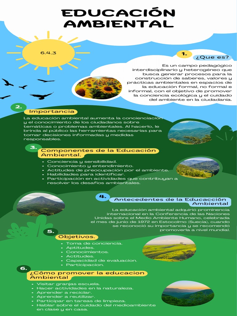 Infografía de Proceso Naturaleza Sencillo Ilustrado Verde Azul | PDF ...
