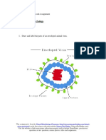 Faduga - Virus Structure Homework Assignment VMC