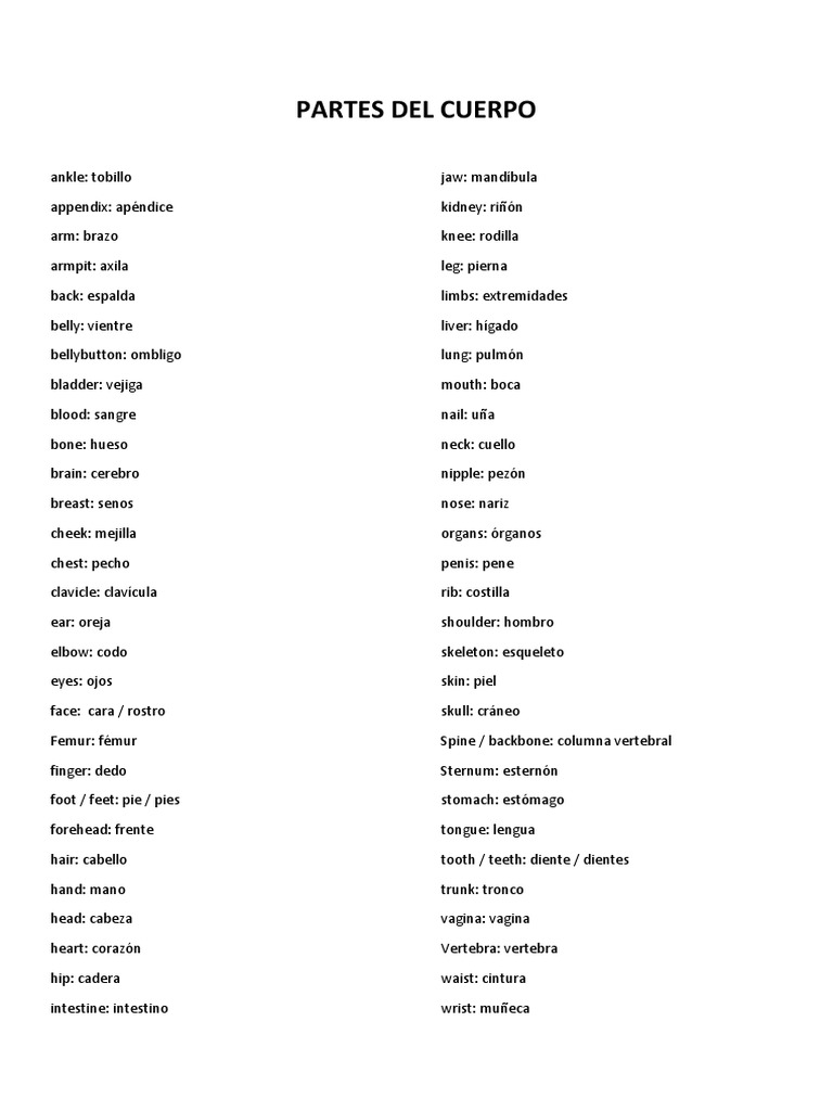 Partes Del Cuerpo | PDF
