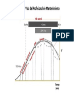 Ciclo de Vida Del Profesional de Mantto
