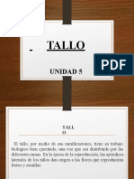 UNIDAD 5 - Tallo