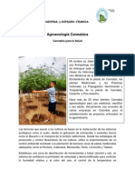 Agroecología Cannabica INTA - Jader Augusto Ortiz Gallego