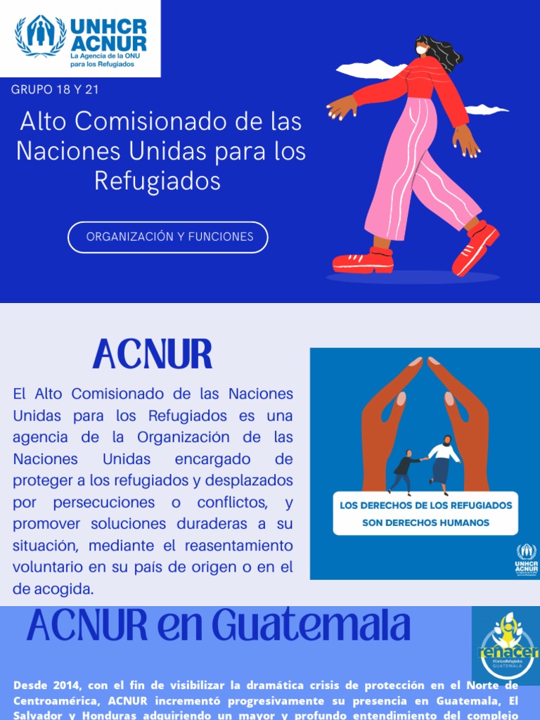 Acnur Organización Y Funciones 1 Pdf