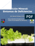 Nutricion - Deficiencias - Macro 2020