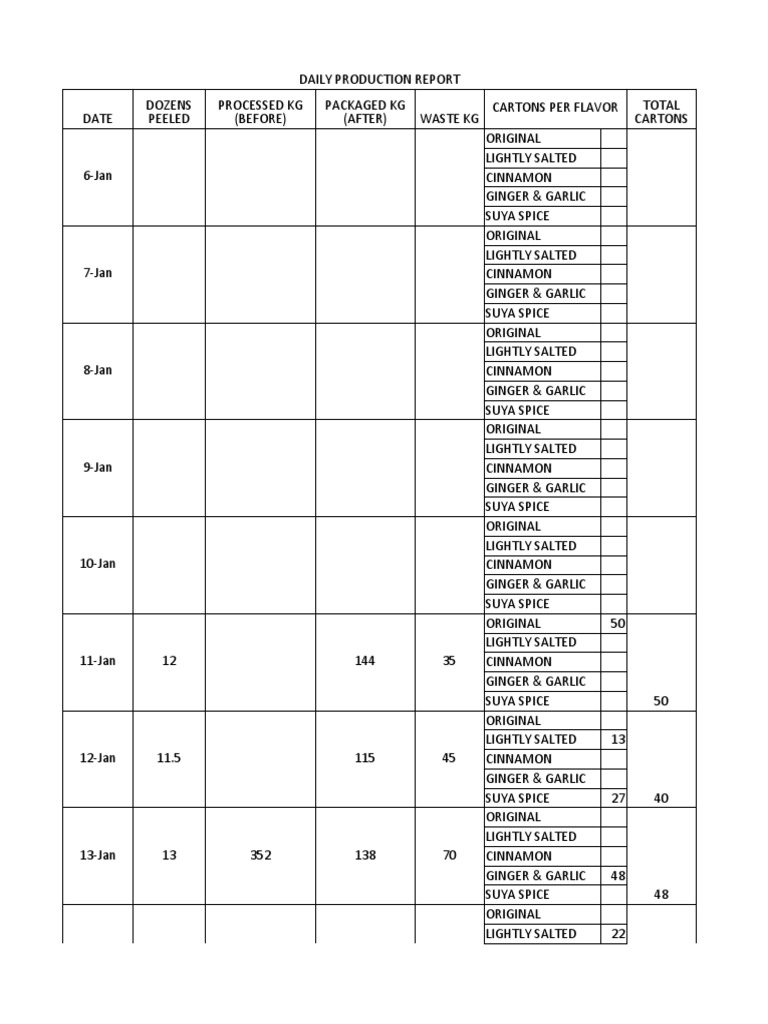 Daily Production Report Pdf