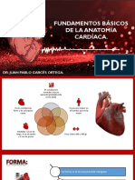 Fundamentos Básicos de La Anatomía Cardíaca.