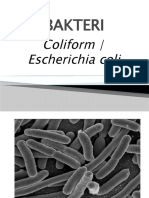 Coliform e Colli PPTX