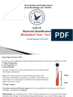 LAB 12 Biochemical Tests 2 2nd 2020-2021