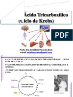 Aula 11 - Ciclo Dos Ácidos Tricarboxílicos