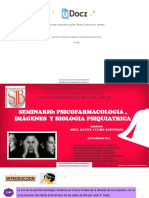 Psicofarmacologia Imagenes y Biologia Psiquiatrica 1 163238 Downloable 2363459