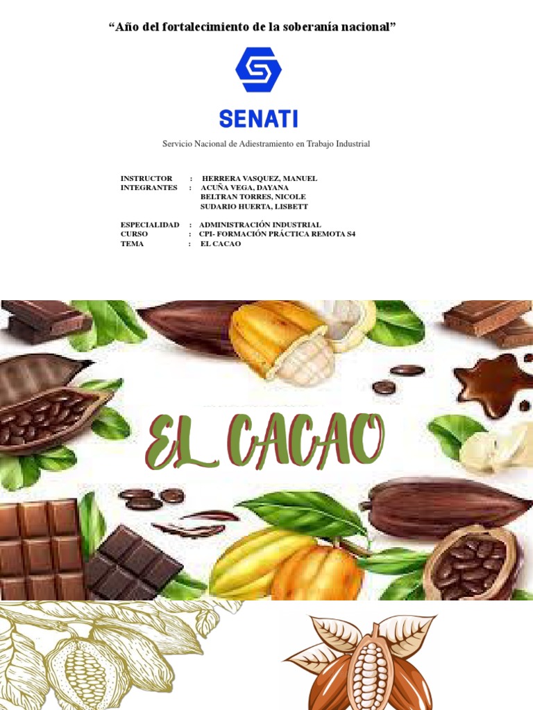 Cacao Pdf Chocolate Nutrición