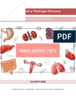 Melhor Sebenta de Anatomia e Fisiologia Humana 2020-2021