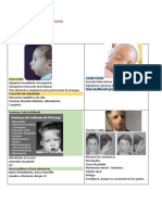 Sindromes Asociados A Fisura