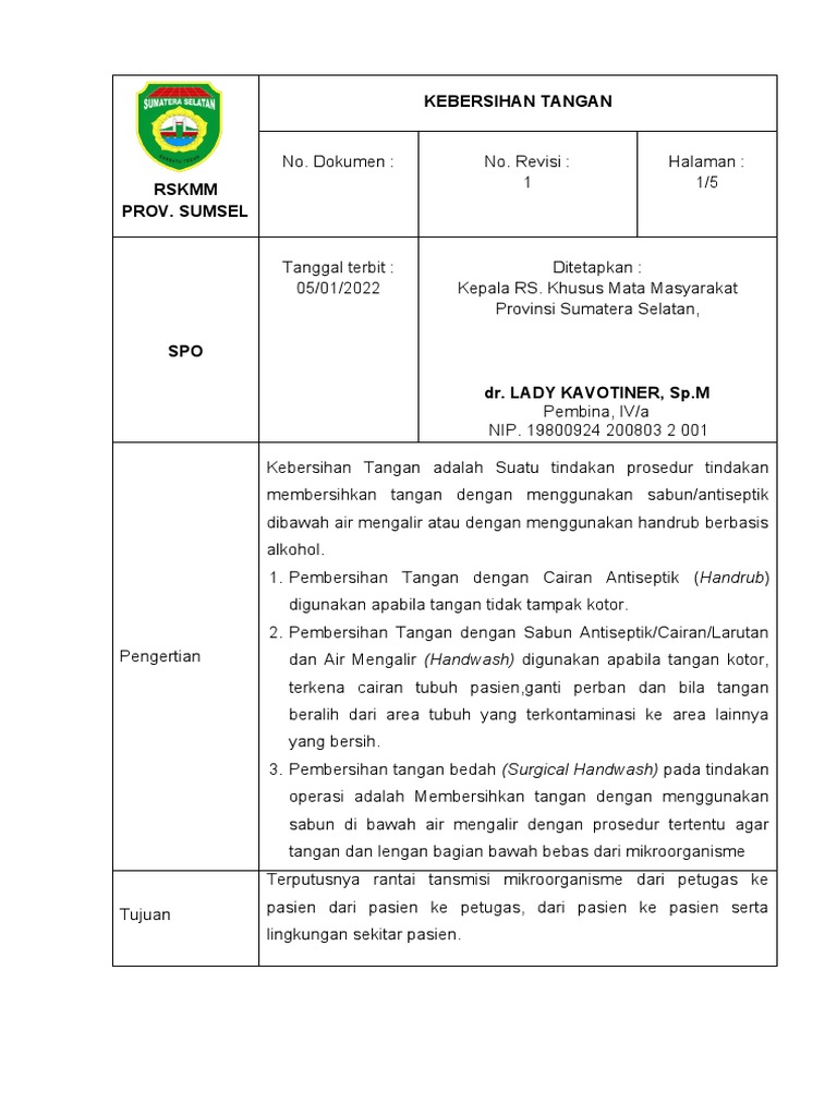 Spo Hand Hygiene Pdf
