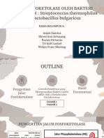 Revisi TR Fismik - Kelompok 4