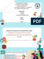 Atención Primaria de Salud - Renovada