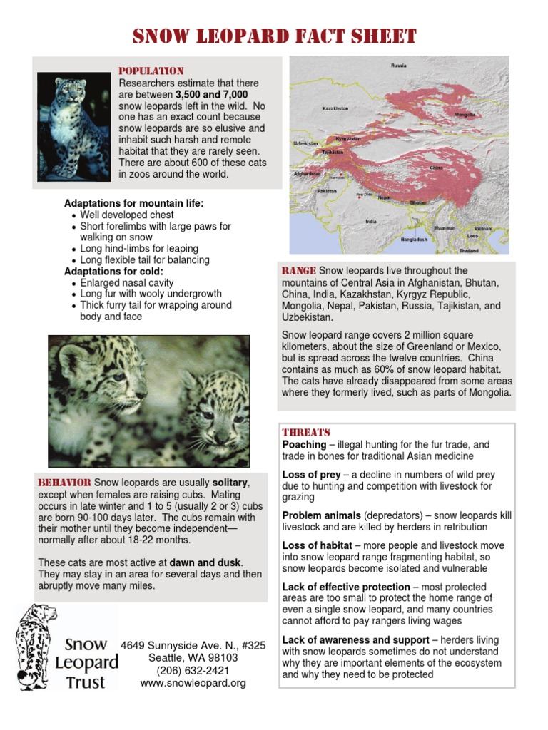 Snow Leopard Fact Sheet | Leopard | Fauna Of Asia