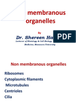 1 Ribosomes Filaments and Microtubues