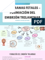 Membranas Fetales y Formación Tirlaminar Embrionaria