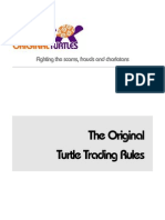 TurtleRules 1