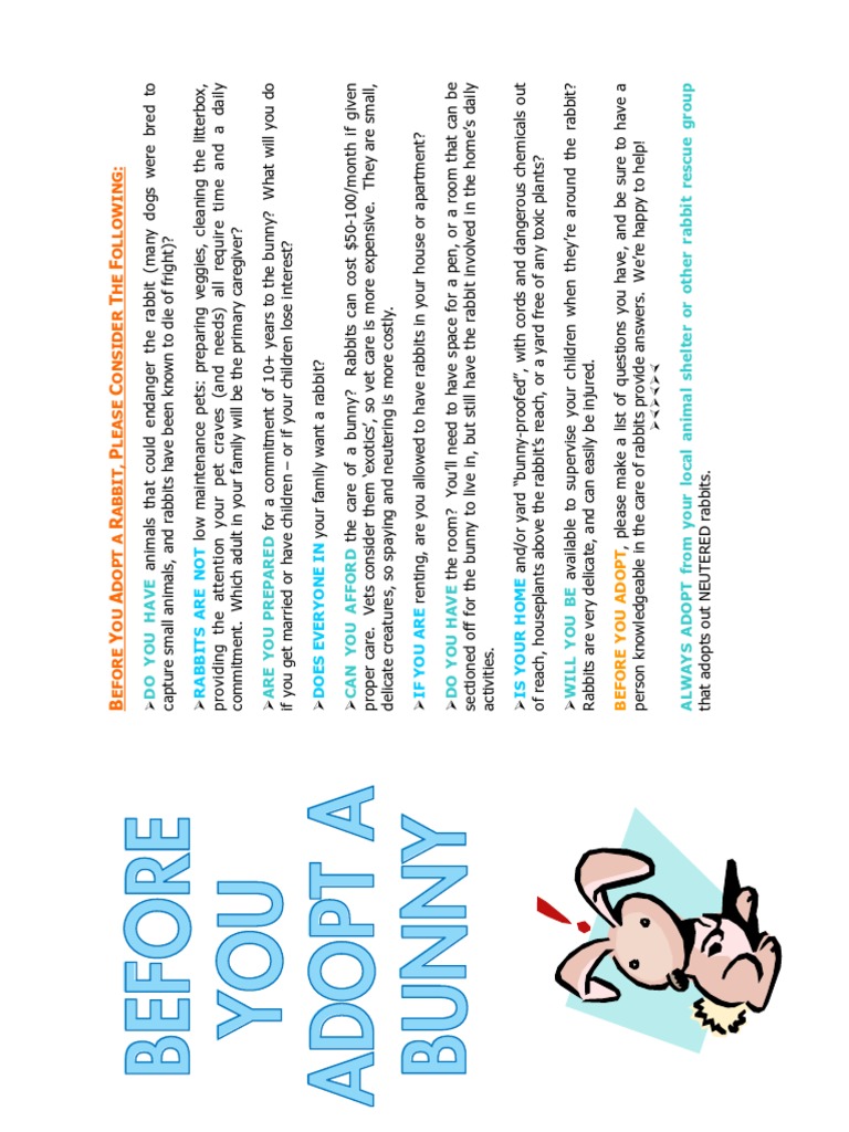 Shelter Pdfs English | PDF | Rabbit | Vegetables