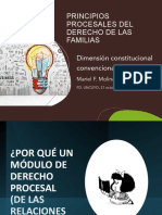 Principios procesales del derecho de familia: análisis del caso Ruiseñor c. Oriolani