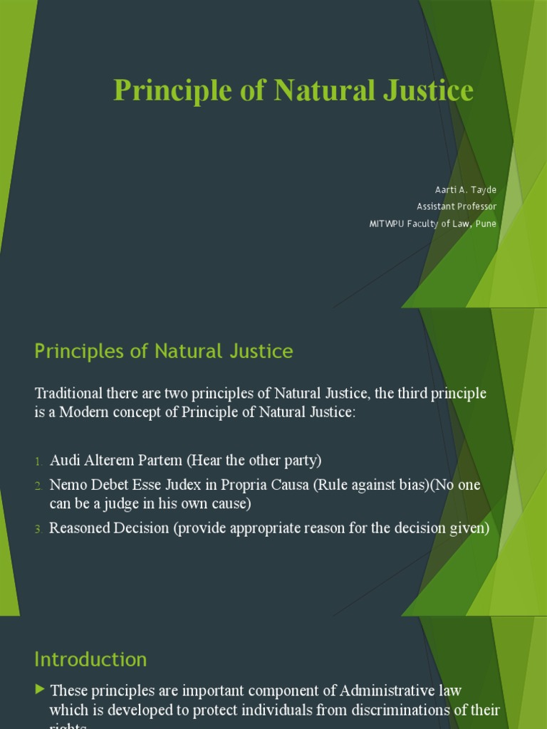 Principles of Natural Justice PDF Social Institutions Public Sphere