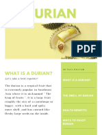 Durian Infographic