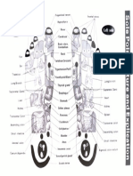 Fig 2 Steen Plantilla