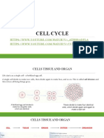 The Cell Cycle: A Concise Guide to Cell Division