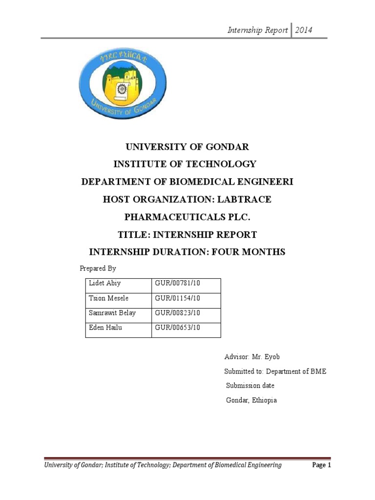 Biomedical Engineering Internship Report | PDF | Leadership ...
