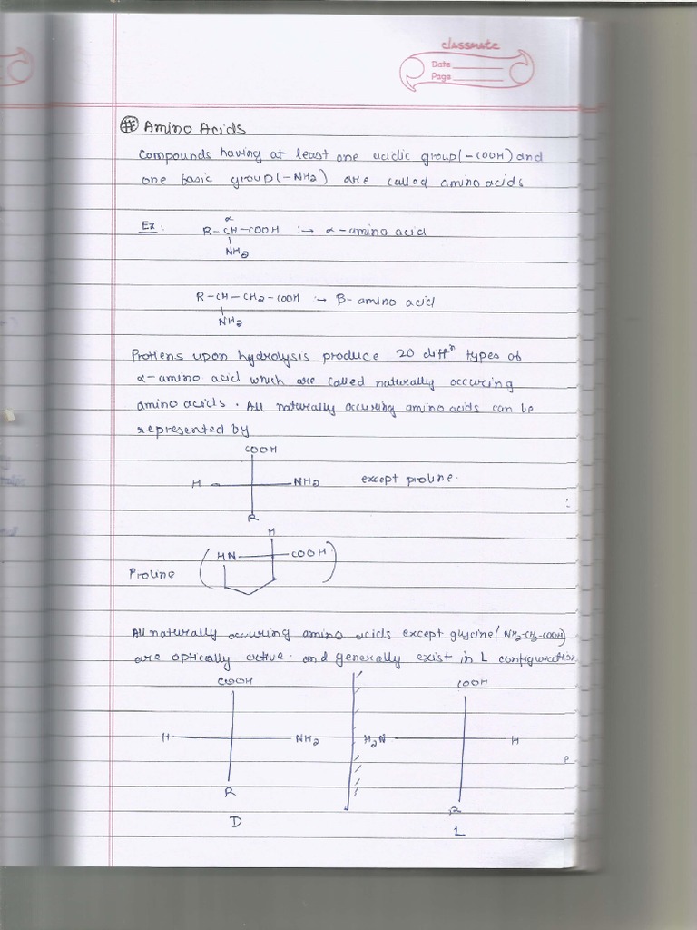 Amino Acids | PDF