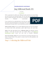 Article - Collecting Milkweed Seeds 101