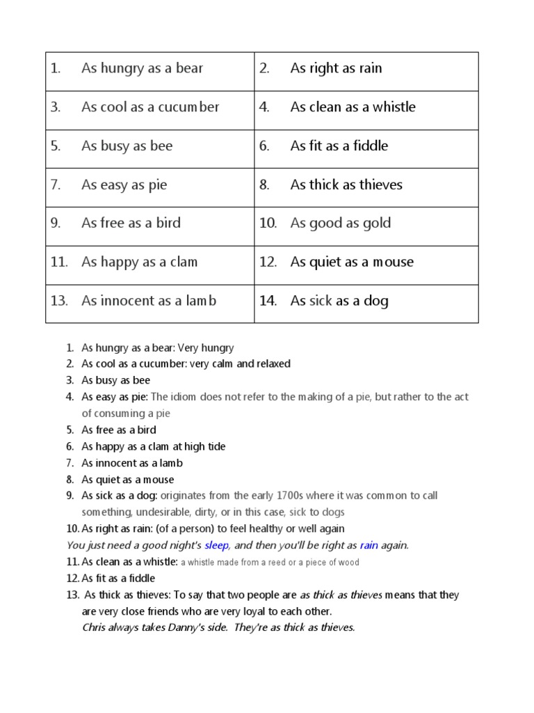 Common English Idioms Explained | PDF