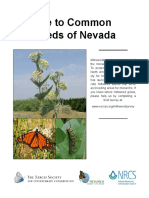 12-022 04 Xercessoc Nativemilkweeds Nevada Web